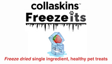 Load image into Gallery viewer, Collaskins Freeze Its - freeze dried whole blueberries 25g
