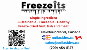 Collaskins Freeze Its - freeze dried cod skins 25g