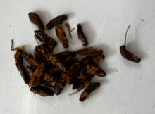 Load image into Gallery viewer, Collaskins Chirp Its - air dried crickets, strawberry 25g
